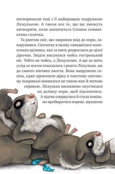Книга "Маленькая Соня в лесу рождественских историй" - Больман Забине (Твердый переплет, на украинском языке) VIVAT00136 фото