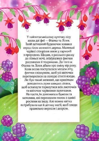 Книга "Одень куклу. Маленькая феечка" - Барзотти Э. (На украинском языке) VIVAT00487 фото
