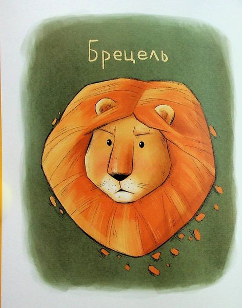 Книга "Енот Ракета и другие герои" - Завалий Е. (Твердый переплет, на украинском языке) VSL00002 фото